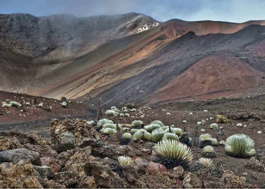 Photo: Haleakalā