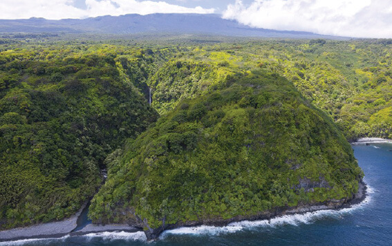 Photo: Maui's Hāna Highway