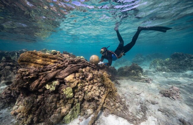 Photo: Remnants from a prohibited commercial fishing industry net entangles a coral head