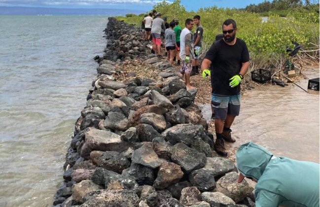 Photo: Volunteers help to repair a portion of the kuapā