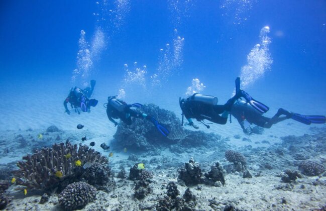 Photo: Blake Nowack (Right) A group of KCR divers swim over a healthy coral reef