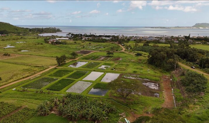 Photo: Heʻeia Ahupuaʻa