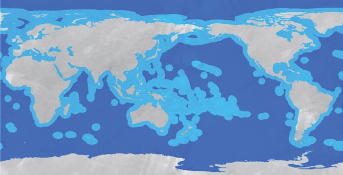 Illustration showing areas designated as the high seas