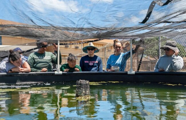 Photo: Fish farm