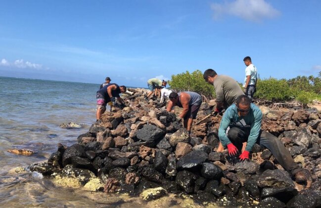 Photo: Volunteers work to repair Kūpeke fishpond