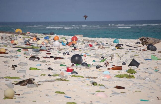 Photo: Marine debris transforms the shoreline at Kamole