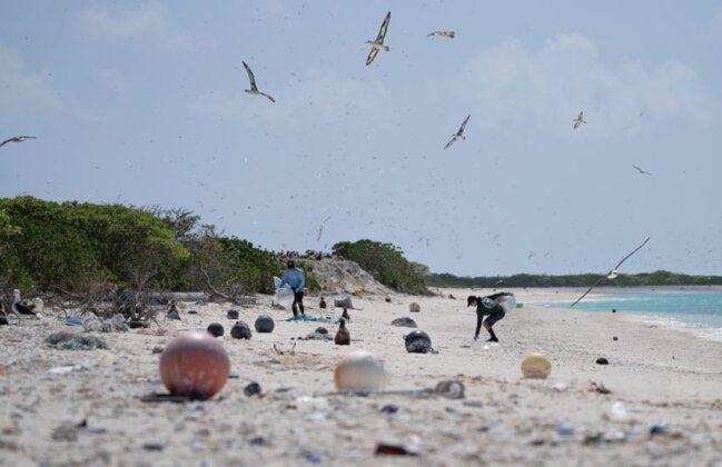 Photo: PMDP team members remove debris from the beach