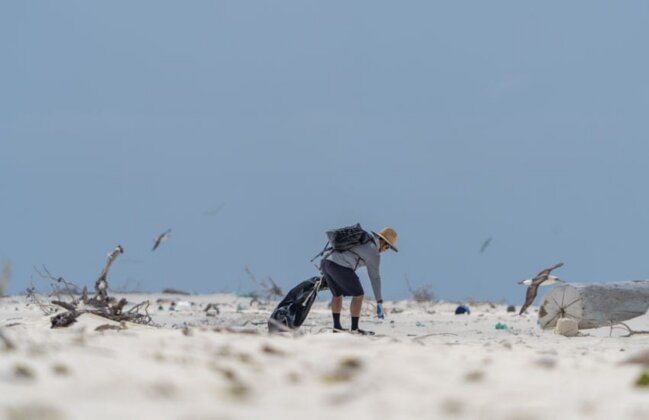 Photo: PMDP team member removes debris from the beach