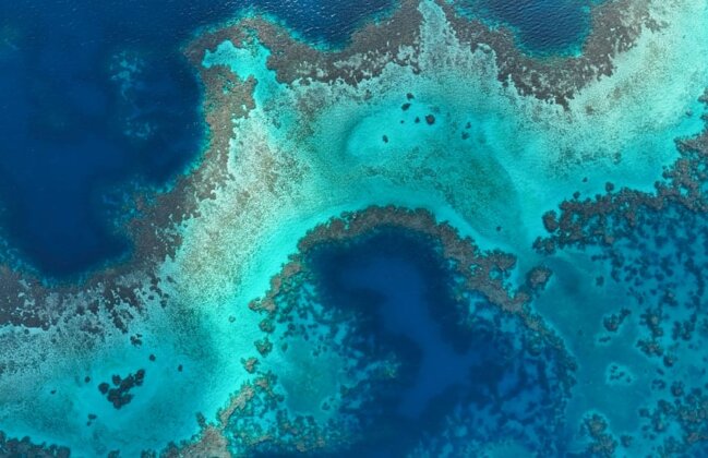 Photo: Aerial view of large ghost net at Manawa