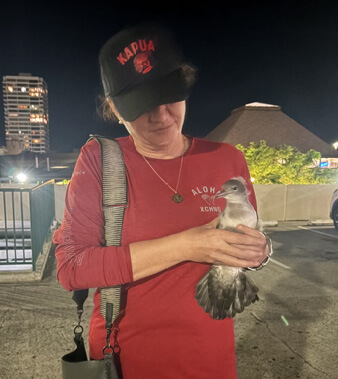 Photo: Mary Moriarity with a rescued seabird