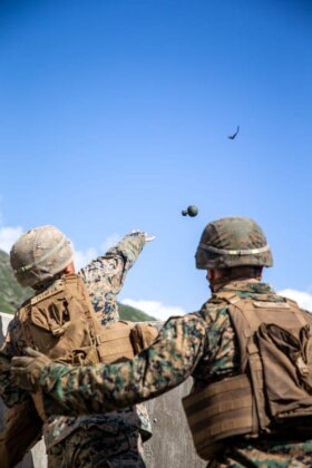 Photo: Soldier throwing a grenade