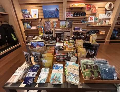 Photo: Shop Pacifica