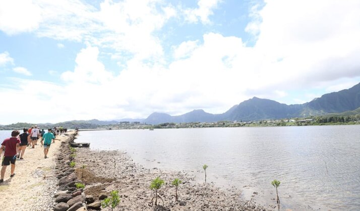Photo: Paepae o Heʻeia