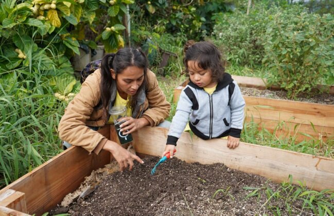 Photo: A mom and her keiki engage in ʻāina-based learning