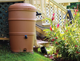 Photo: Rain barrels