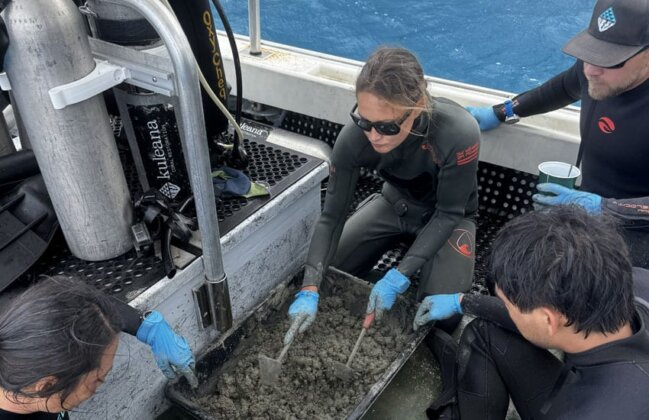 Photo: The KCR team mixes concrete that will be used on the next restoration dive