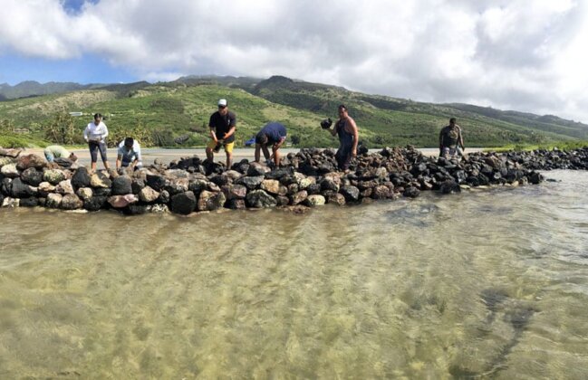 Photo: Volunteers work to repair Kūpeke fishpond