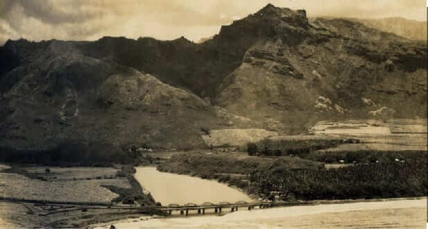 Photo: Aerial photo of Wailuanui
