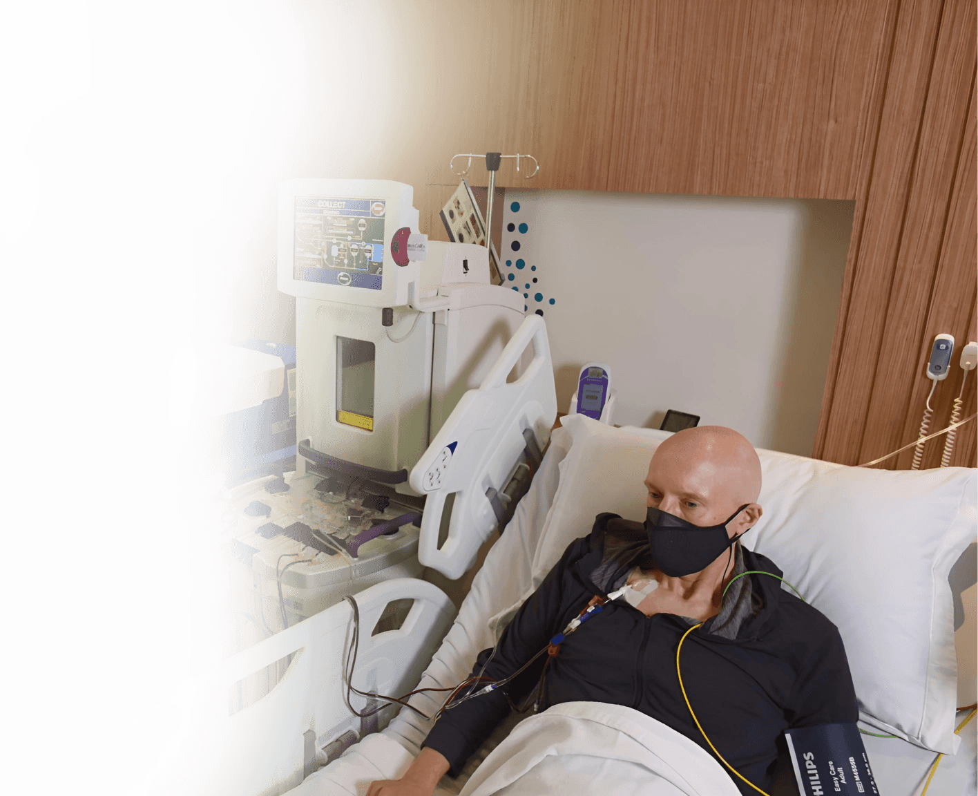 Stem Cell Transplant Image